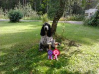 /album/ilpo/iski-106-jpg/